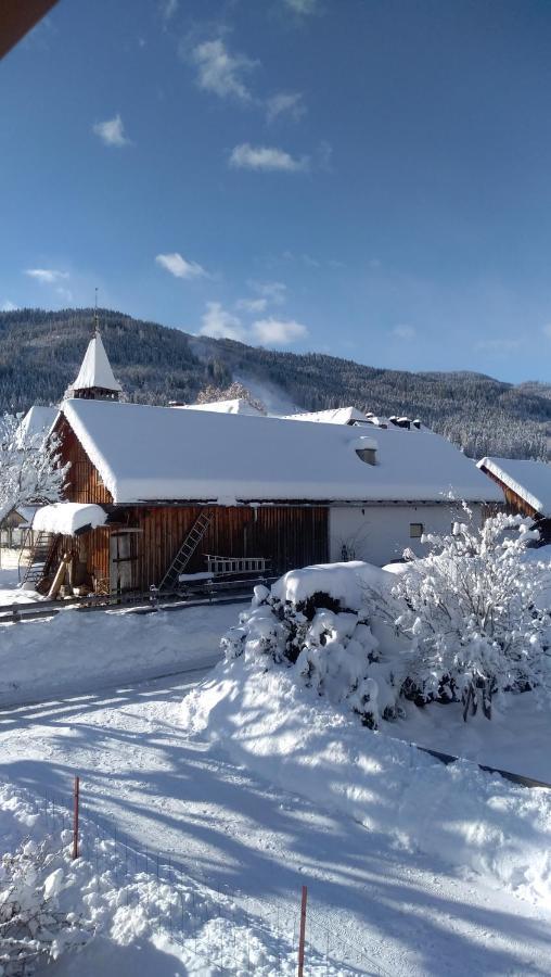 Chalet Dorfer Βίλα Sankt Lorenzen ob Murau Εξωτερικό φωτογραφία