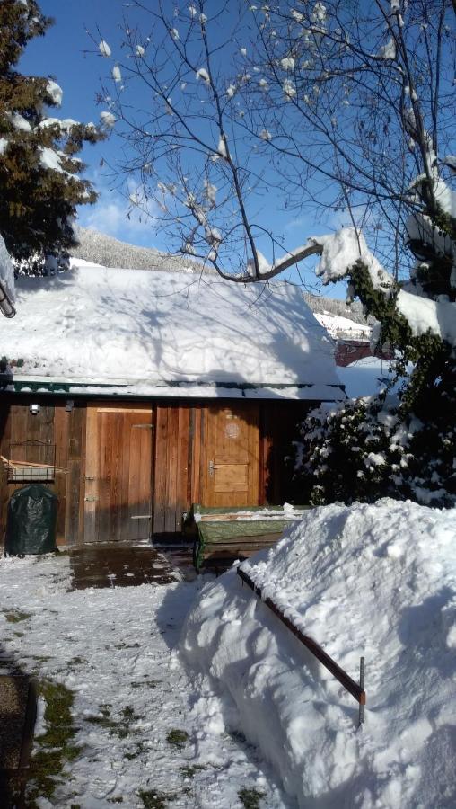 Chalet Dorfer Βίλα Sankt Lorenzen ob Murau Εξωτερικό φωτογραφία